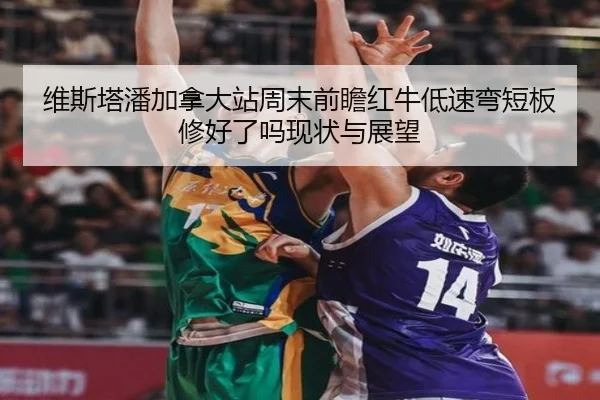 wei-si-ta-pan-jia-na-da-zhan-zhou-mo-qian-zhan-hong-niu-di-su-wan-duan-ban-xiu-hao-le-ma-xian-zhuang-yu-zhan-wang-2-833.jpg